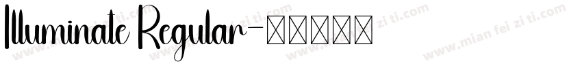 Illuminate Regular字体转换